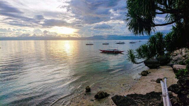 Dive Diaries