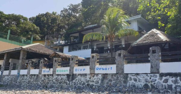 Dive Diaries