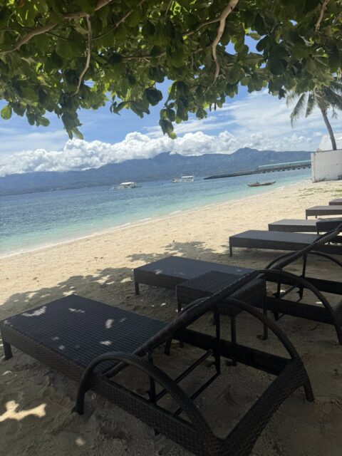 Dive Diaries