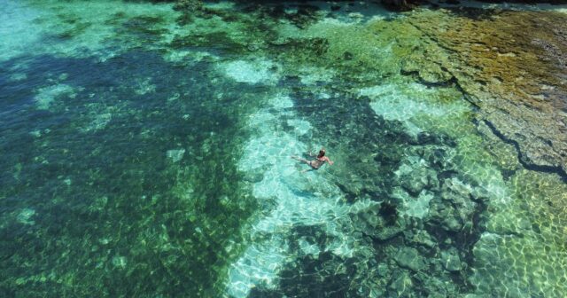 Dive Diaries