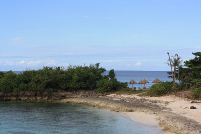 Dive Diaries