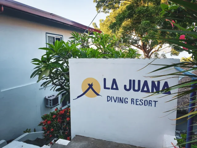 Dive Diaries
