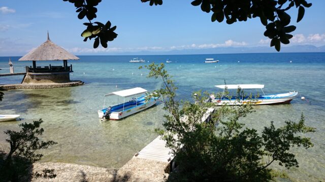 Dive Diaries