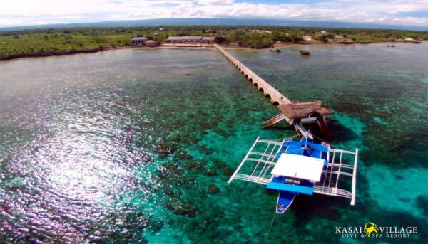 Dive Diaries