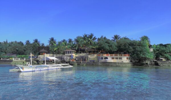 Dive Diaries