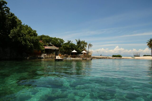 Dive Diaries