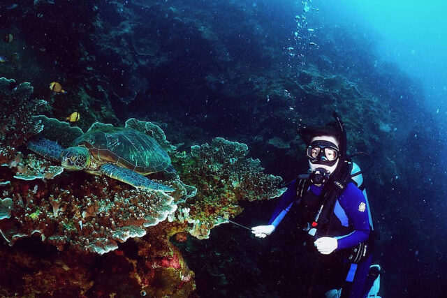 Dive Diaries