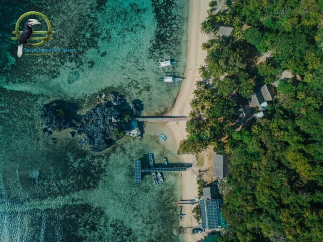 Dive Diaries