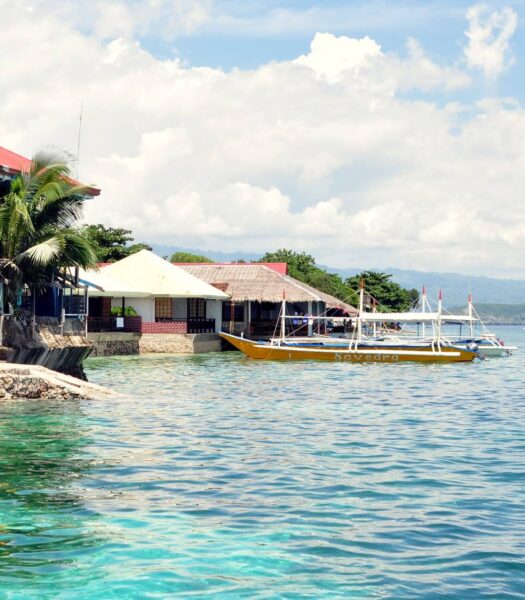 Dive Diaries