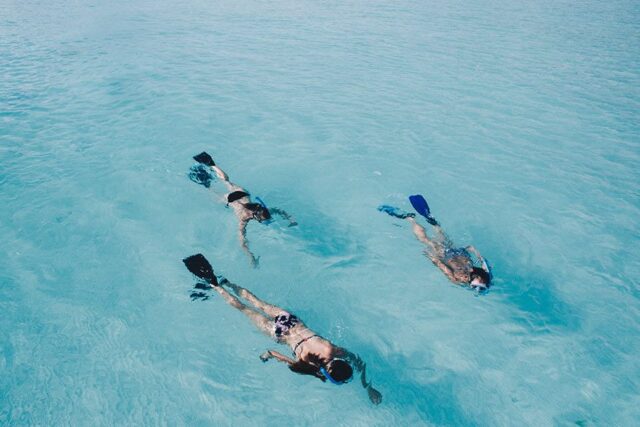Dive Diaries