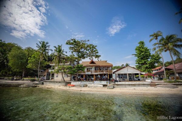 Dive Diaries