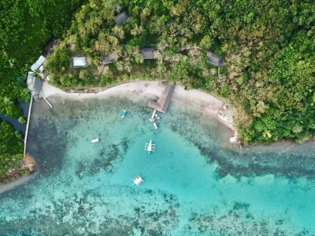 Dive Diaries